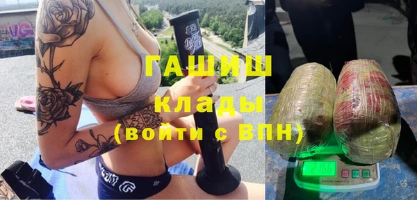 сатива Мегион