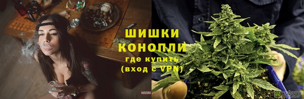 сатива Мегион