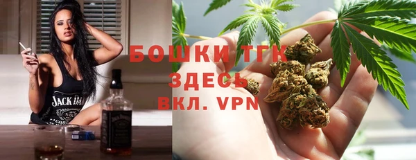 сатива Мегион