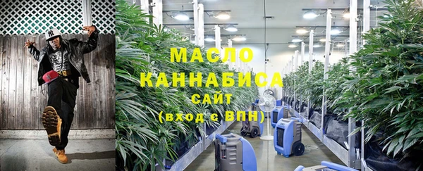 сатива Мегион